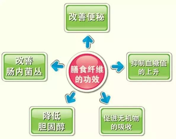 健康管理与生活方式，塑造健康生活的关键纽带