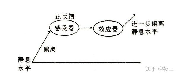 运动与身体健康，正向反馈机制探究