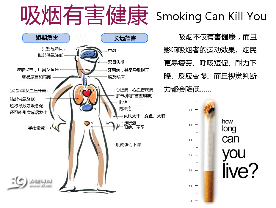 深度解析吸烟对人体器官系统的危害，警示与警醒