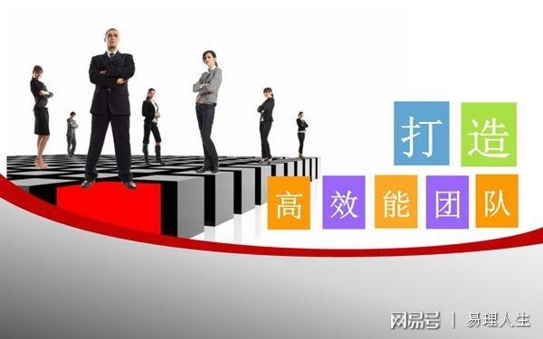 高效团队建设与企业文化塑造，协同发展的双翼之力