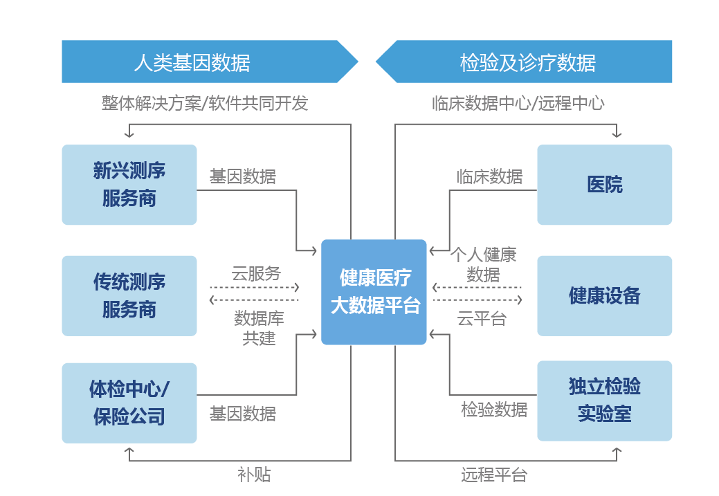 大数据赋能患者健康管理，提升医疗服务效率