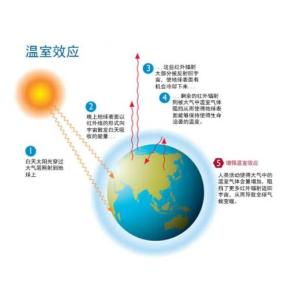 2024年12月28日 第54页