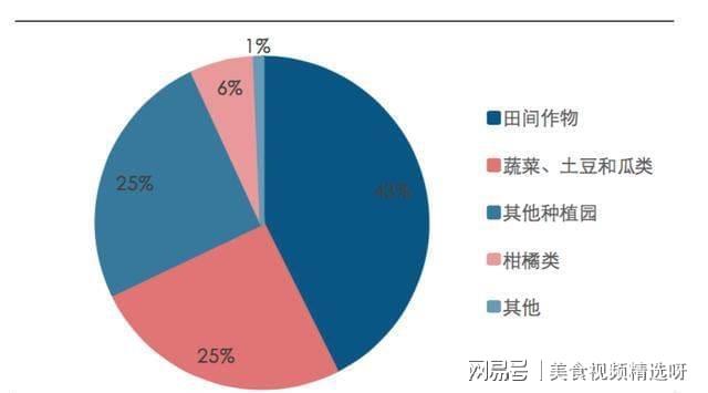 水资源管理，国际合作重点议题的重要性、挑战及策略探讨