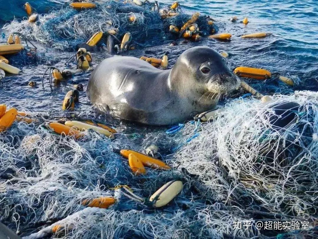 海洋微塑料治理取得重要阶段性成果