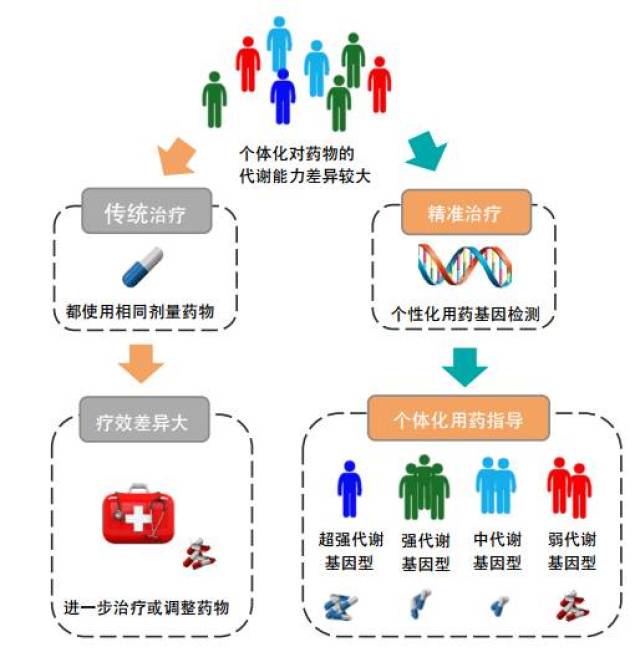 精准药物治疗在个体化医疗中的潜力与应用前景