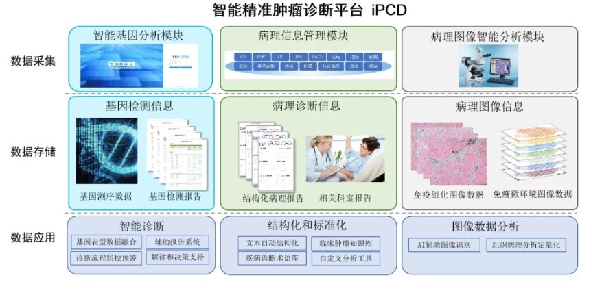 精准医学在肿瘤治疗中的挑战与前景展望