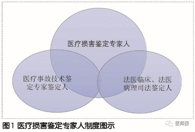 网络平台提供医疗建议的法律责任界定探讨