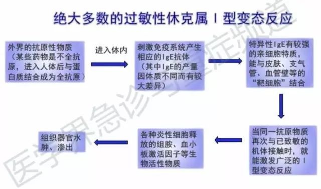 家庭急救应对过敏性休克的方法与策略