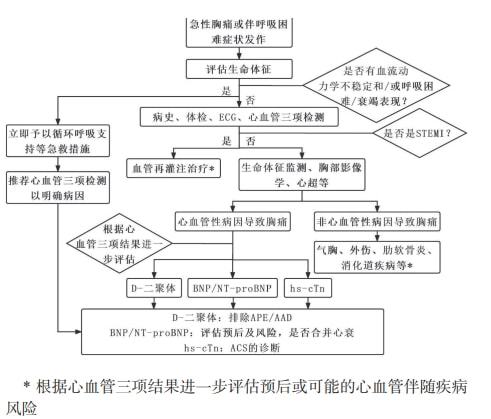 急性呼吸困难急救处理方法指南