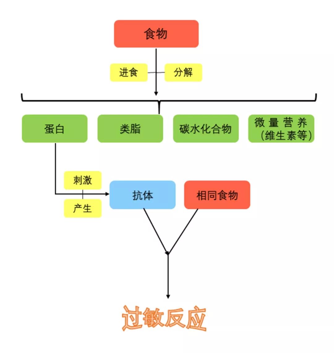 2025年1月2日 第4页