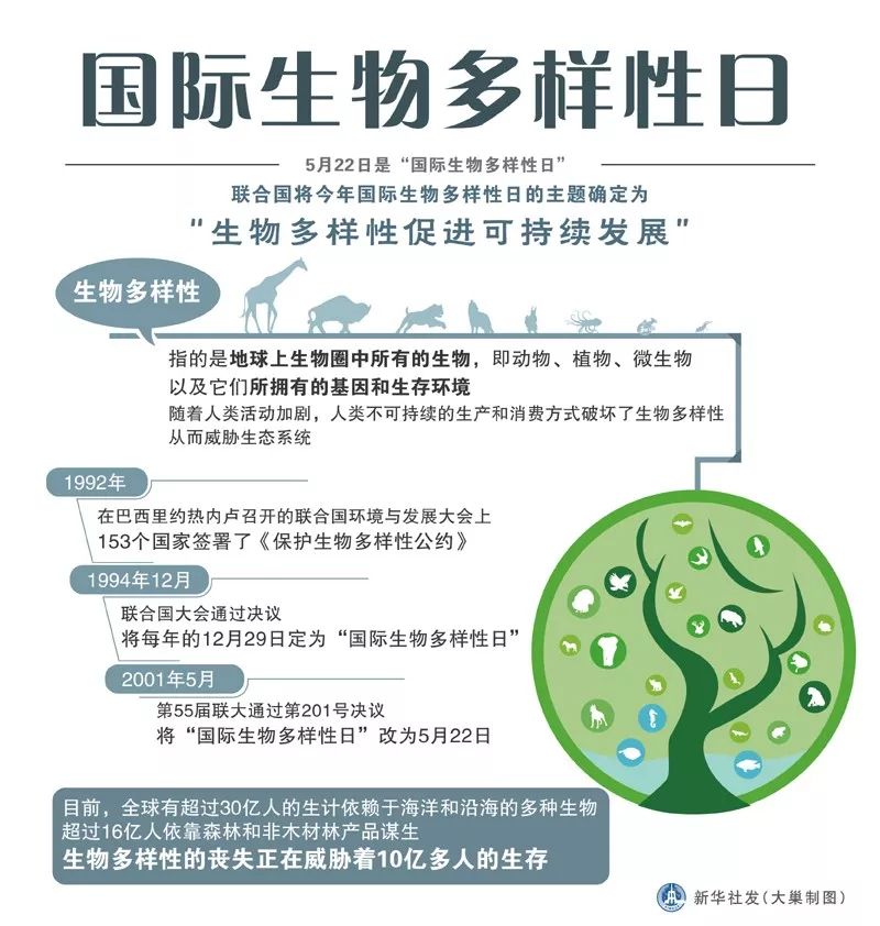 生物多样性丧失加剧，强化保护措施刻不容缓