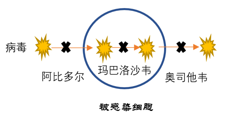 玛巴洛沙韦需求激增超200%，市场趋势、影响及挑战深度解析