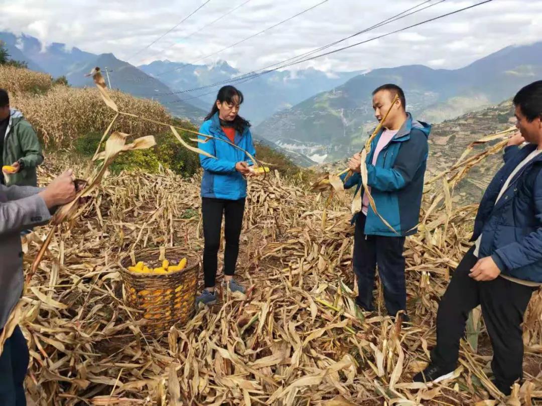 如何挑选节能电视机，有效降低电力消耗