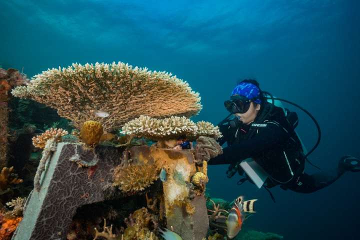 海洋保护行动升级，濒危物种获有效救助措施支持