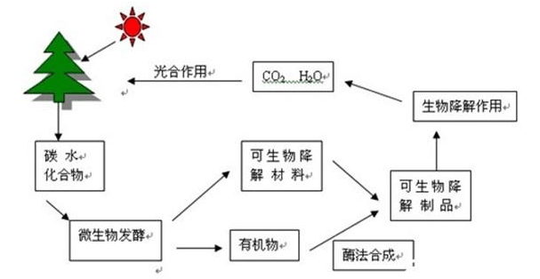 可降解塑料普及对减少白色污染及环境影响的深远变革