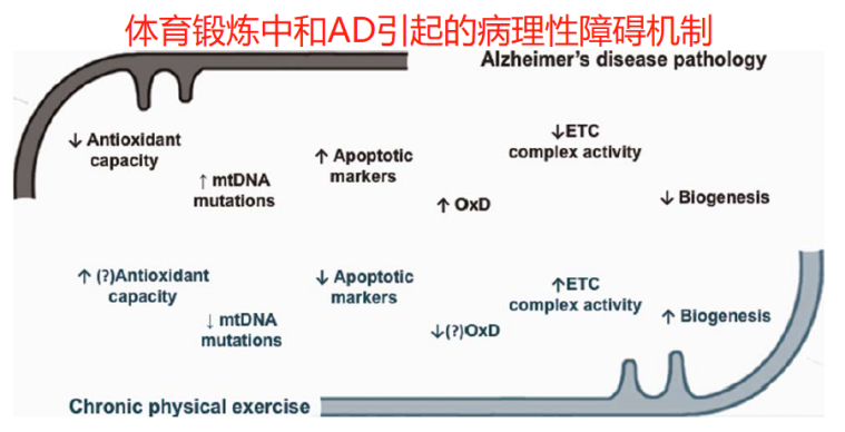 运动如何助力心理健康提升？